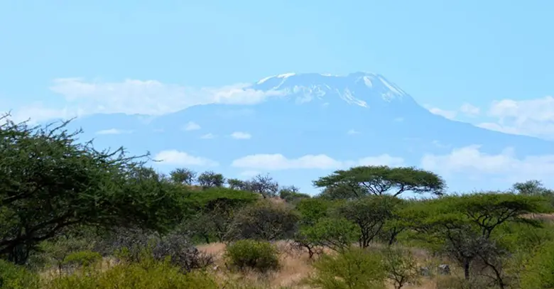 Rutgers Business student got a good look at the landscape of East Africa.