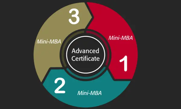 Circle diagram representing Mini-MBA programs that make up an advanced certificate
