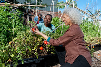 two women gardening